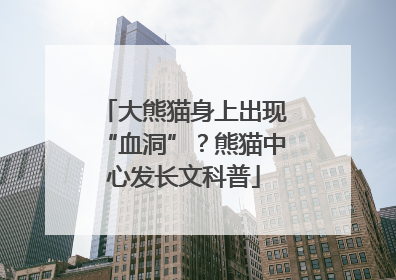 大熊猫身上出现“血洞”？熊猫中心发长文科普