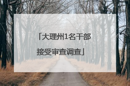 大理州1名干部接受审查调查