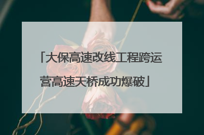 大保高速改线工程跨运营高速天桥成功爆破