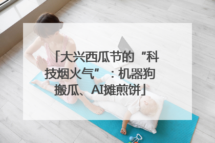 大兴西瓜节的“科技烟火气”：机器狗搬瓜、AI摊煎饼