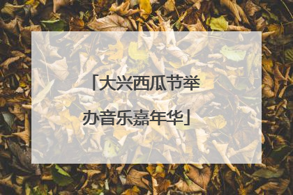 大兴西瓜节举办音乐嘉年华