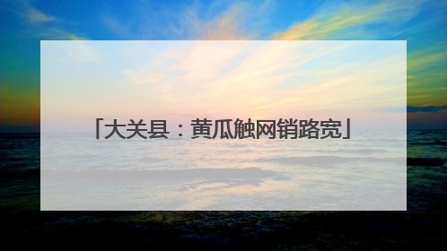 大关县：黄瓜触网销路宽