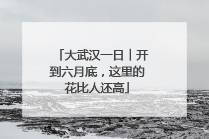 大武汉一日︱开到六月底，这里的花比人还高