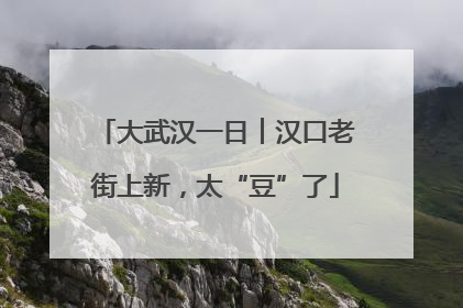 大武汉一日︱汉口老街上新，太“豆”了