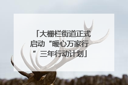大栅栏街道正式启动“暖心万家行”三年行动计划