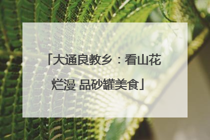 大通良教乡：看山花烂漫 品砂罐美食