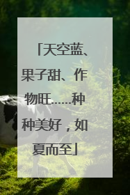 天空蓝、果子甜、作物旺……种种美好，如夏而至