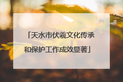 天水市伏羲文化传承和保护工作成效显著