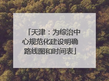天津：为综治中心规范化建设明确路线图和时间表