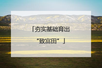 夯实基础育出“致富田”