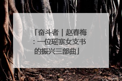 奋斗者｜赵春梅：一位瑶寨女支书的振兴三部曲