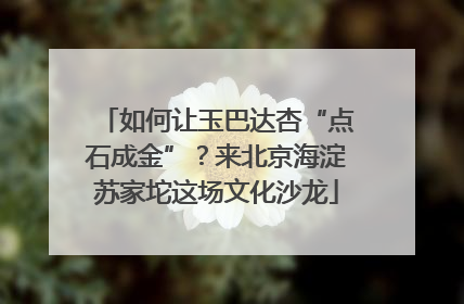 如何让玉巴达杏“点石成金”？来北京海淀苏家坨这场文化沙龙