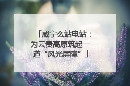 威宁么站电站：为云贵高原筑起一道“风光屏障”