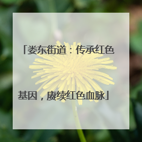 娄东街道：传承红色基因，赓续红色血脉