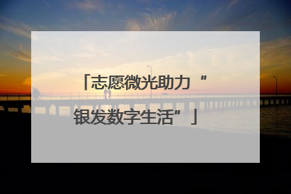 志愿微光助力“银发数字生活”