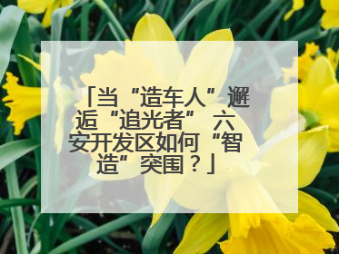 当“造车人”邂逅“追光者” 六安开发区如何“智造”突围？