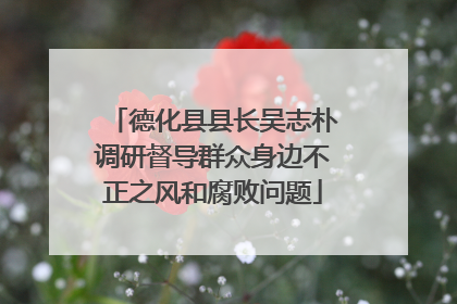 德化县县长吴志朴调研督导群众身边不正之风和腐败问题