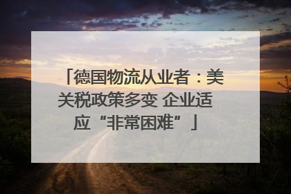 德国物流从业者：美关税政策多变 企业适应“非常困难”