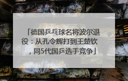 德国乒乓球名将波尔退役：从孔令辉打到王楚钦，同5代国乒选手竞争