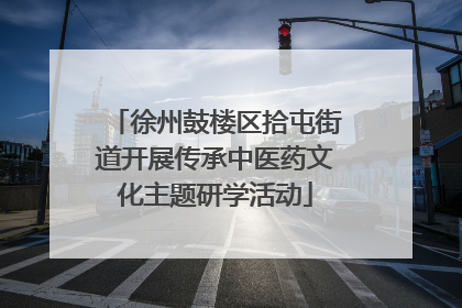 徐州鼓楼区拾屯街道开展传承中医药文化主题研学活动