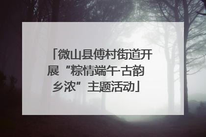 微山县傅村街道开展“粽情端午·古韵乡浓”主题活动
