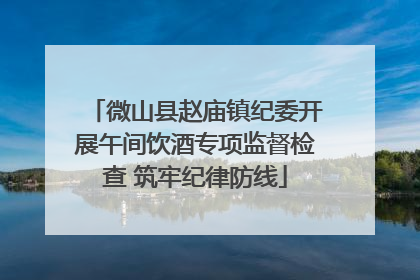 微山县赵庙镇纪委开展午间饮酒专项监督检查 筑牢纪律防线