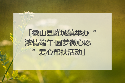微山县驩城镇举办“浓情端午·圆梦微心愿”爱心帮扶活动
