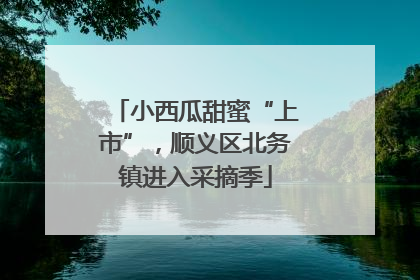 小西瓜甜蜜“上市”，顺义区北务镇进入采摘季