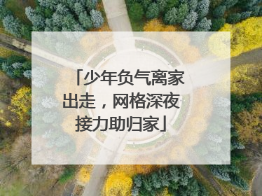 少年负气离家出走，网格深夜接力助归家
