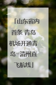 山东省内首条 青岛机场开通青岛=清州直飞航线