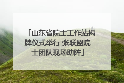 山东省院士工作站揭牌仪式举行 张联盟院士团队现场助阵