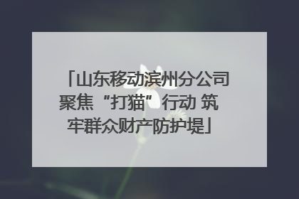 山东移动滨州分公司聚焦“打猫”行动 筑牢群众财产防护堤