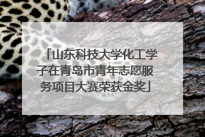 山东科技大学化工学子在青岛市青年志愿服务项目大赛荣获金奖