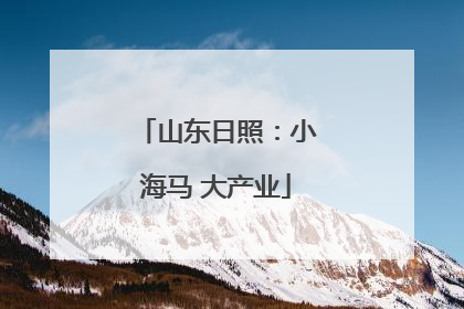 山东日照：小海马 大产业