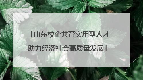 山东校企共育实用型人才 助力经济社会高质量发展