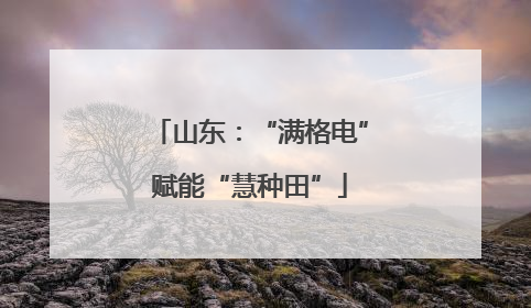 山东：“满格电”赋能“慧种田”