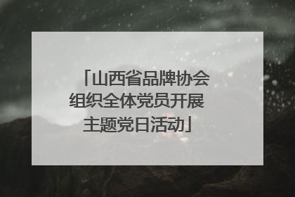 山西省品牌协会组织全体党员开展主题党日活动