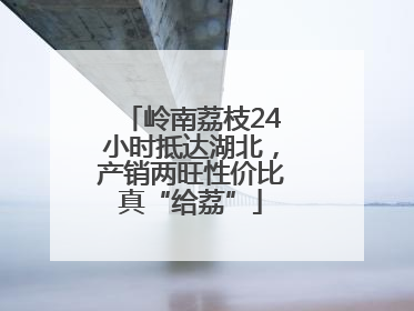 岭南荔枝24小时抵达湖北，产销两旺性价比真“给荔”