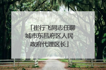 崔行飞同志任聊城市东昌府区人民政府代理区长