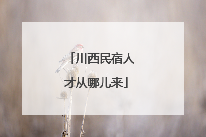 川西民宿人才从哪儿来