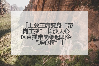 工会主席变身“带岗主播” 长沙天心区直播带岗架起职企“连心桥”