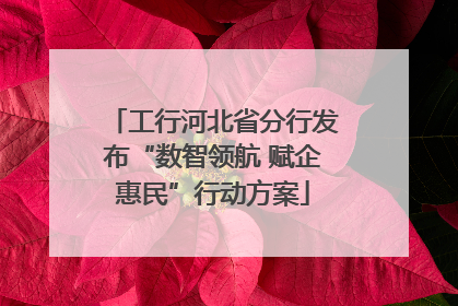 工行河北省分行发布“数智领航 赋企惠民”行动方案