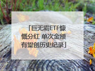巨无霸ETF慷慨分红 单次金额有望创历史纪录