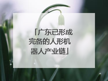 广东已形成完备的人形机器人产业链