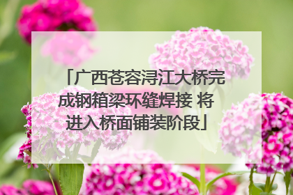 广西苍容浔江大桥完成钢箱梁环缝焊接 将进入桥面铺装阶段