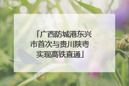 广西防城港东兴市首次与贵川陕粤实现高铁直通