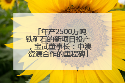 年产2500万吨铁矿石的新项目投产，宝武董事长：中澳资源合作的里程碑