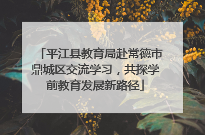 平江县教育局赴常德市鼎城区交流学习，共探学前教育发展新路径