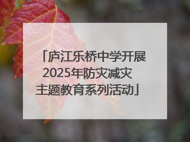 庐江乐桥中学开展2025年防灾减灾主题教育系列活动