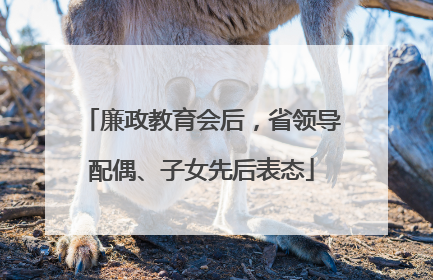 廉政教育会后，省领导配偶、子女先后表态